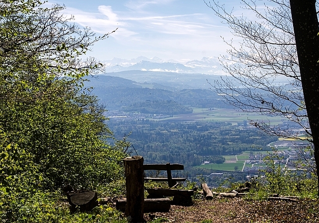 Herrliche Aussicht: Der Blick von der Gisliflue aus reicht bei schönem Wetter bis in die Alpen.