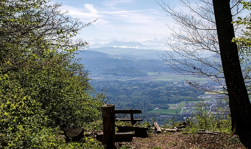 Herrliche Aussicht: Der Blick von der Gisliflue aus reicht bei schönem Wetter bis in die Alpen. Herrliche Aussicht: Der Blick von der Gisliflue aus reicht bei schönem Wetter bis in die Alpen.