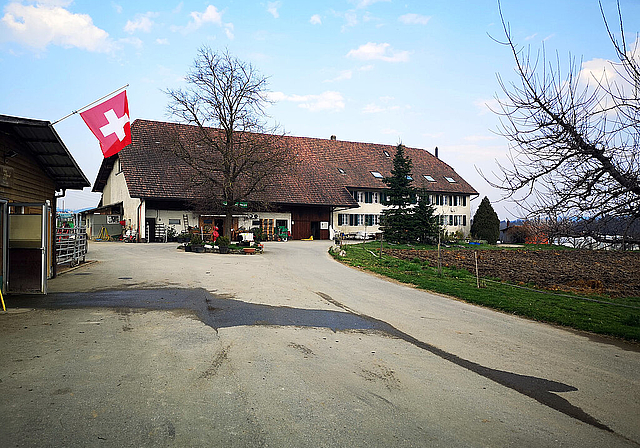 Kauf soll langfristige Existenzgrundlage für bisherigen Pächter bringen: Das Seenger Bürgerheim an der Strasse zwischen Seengen und Boniswil. Foto: Fritz Thut
