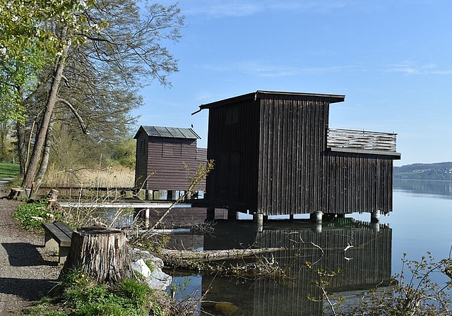 <em>Werden schon bald wieder fleissig von Seefreunden besucht:</em> Verschiedene Bootshäuser am Hallwilersee. Fotos: Larissa Hunziker
