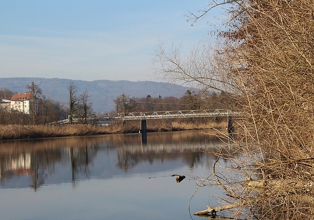 Soll saniert werden: Der Steg über die Aare, der Holderbank mit Veltheim verbindet. Foto: Carolin Frei