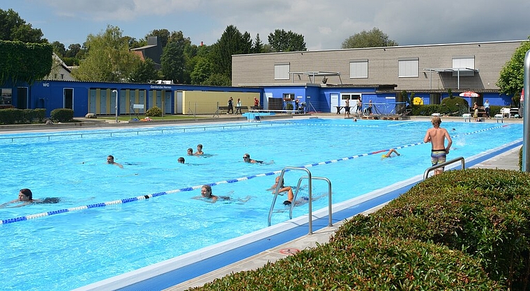 Gemeinsam schwammen die Besucher am Samstag 725 Längen im Schwimmbad Möriken-Wildegg.