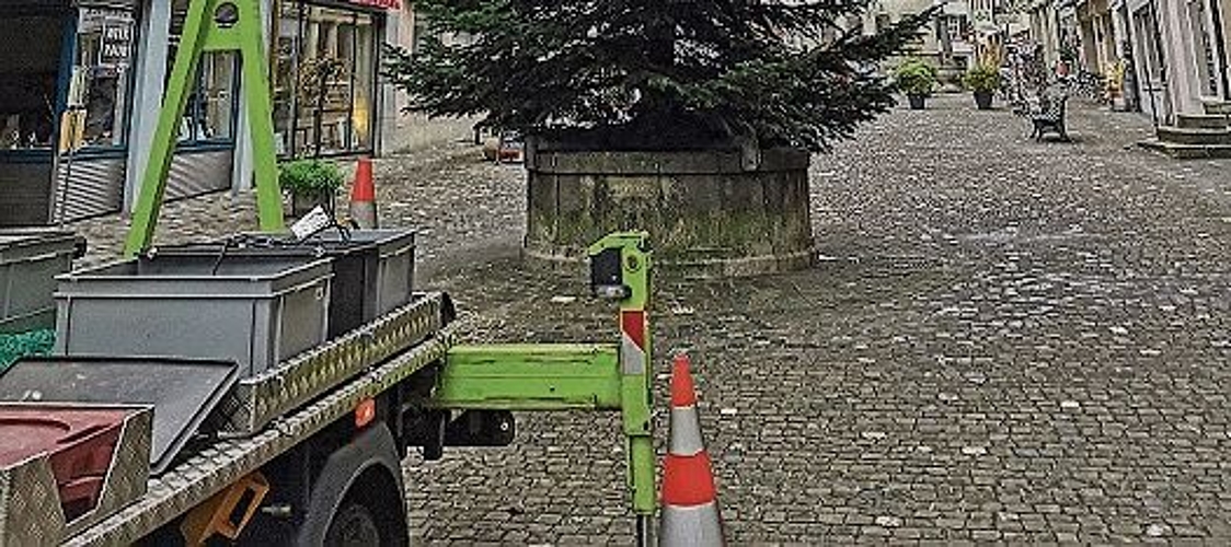 Kein einfaches Unterfangen: Das Stellen des Tannenbaums. Foto: Fritz Thut
