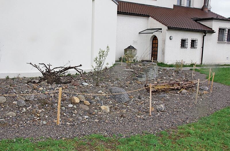 Mit viel Fachwissen gestaltet: Die neue Ruderalfläche hinter der katholischen Kirche in Lenzburg. Foto: Alfred Gassmann