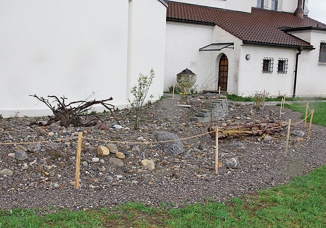 Mit viel Fachwissen gestaltet: Die neue Ruderalfläche hinter der katholischen Kirche in Lenzburg. Foto: Alfred Gassmann