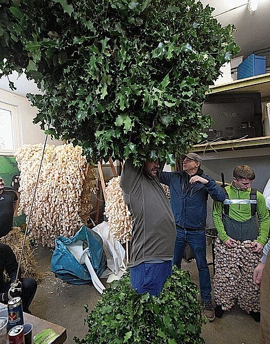 «Stächpaumig»: Das Anziehen der Bärzeli-Kostüme ist eine Wissenschaft für sich. Foto: aw