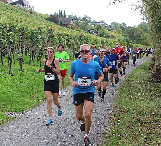 <em>Idyllisch: </em>Entlang der Rebberge. Foto: ast

