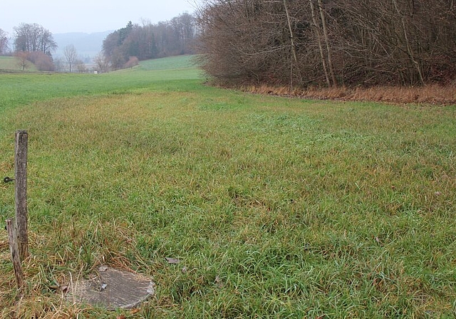 <em>Die Leffimatt soll zur Baustelle werden:</em> Schachtdeckel markiert die Lage des eingedolten Heerelochbaches. Foto: Alfred Gassmann