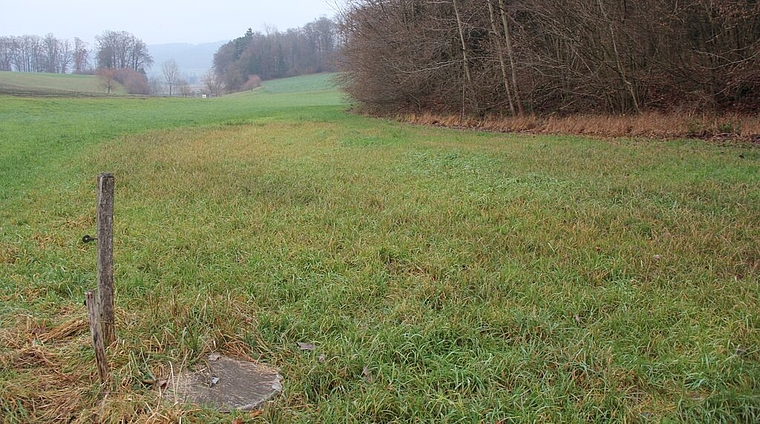 <em>Die Leffimatt soll zur Baustelle werden:</em> Schachtdeckel markiert die Lage des eingedolten Heerelochbaches. Foto: Alfred Gassmann