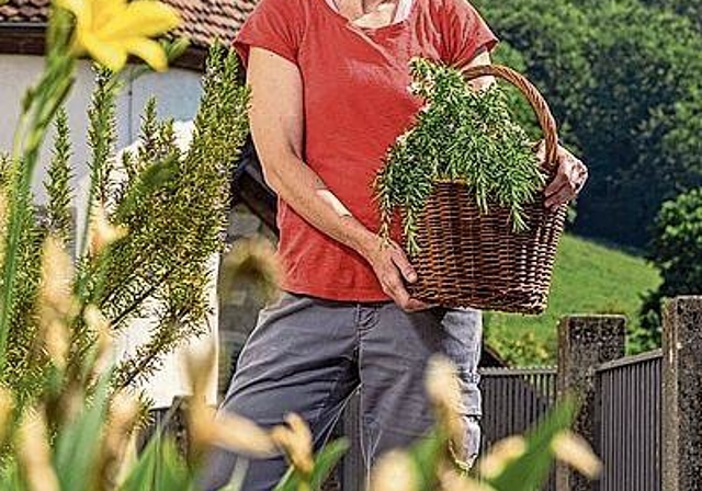 Arbeitet auf Schloss Wildegg: Gärtnerin Melissa Gögele.Foto: MA/Pascal Meier