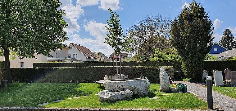 Wird geschätzt: Der Aufenthaltsbereich mit Sitzgelegenheiten und der Linde. Foto: Marc Döderlein