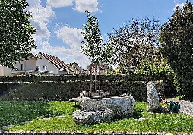 Wird geschätzt: Der Aufenthaltsbereich mit Sitzgelegenheiten und der Linde. Foto: Marc Döderlein