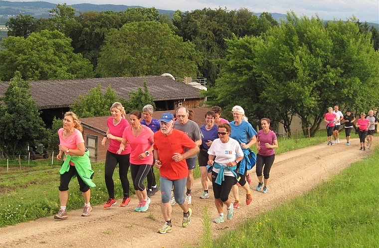 Lauftraining: Rund um Staufen gibt es zahlreiche Möglichkeiten. Foto: zvg