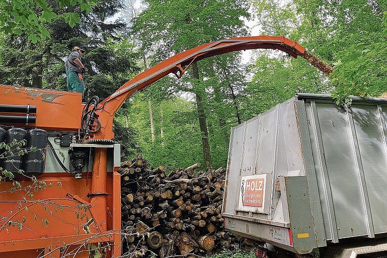 Produktion läuft nach den Winterstürmen auf Hochtouren: Stämme werden im Hallwiler Wald zu Holzschnitzeln zerkleinert und in einen Transportwagen gefüllt. Foto: Andreas Walker