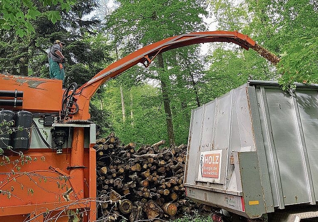 Produktion läuft nach den Winterstürmen auf Hochtouren: Stämme werden im Hallwiler Wald zu Holzschnitzeln zerkleinert und in einen Transportwagen gefüllt. Foto: Andreas Walker