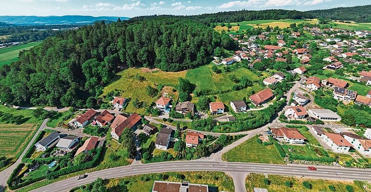 Dereinst ein durchgrüntes Quartier mit Weitsicht ins Seetal: Blick auf den Hasenberg in Egliswil in der Bildmitte. Foto: Romeo Keller