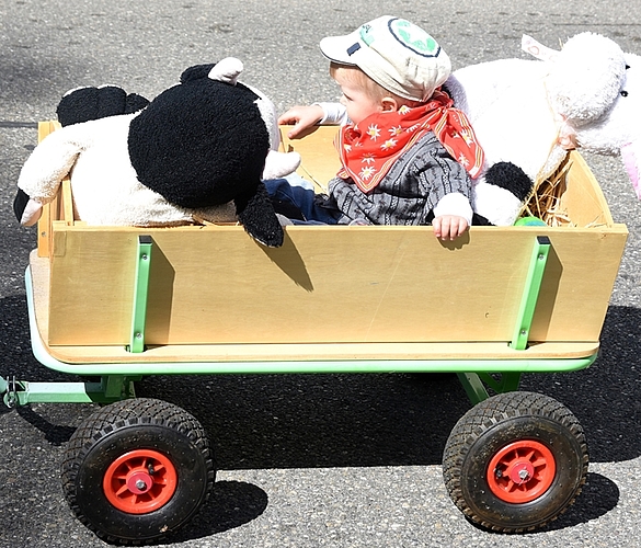 Keiner zu klein: Umzugsteilnehmer im Wagen. Keiner zu klein: Umzugsteilnehmer im Wagen.