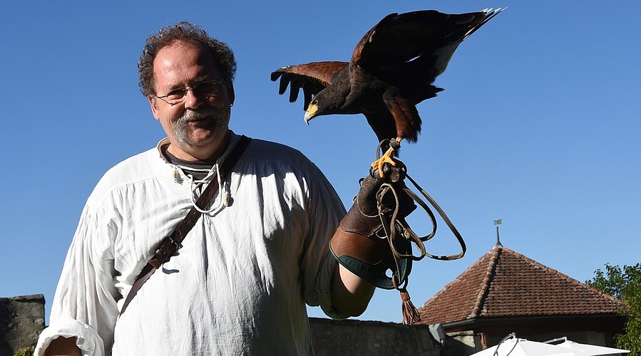 <em>Einblick in die Welt der Greifvögel:</em> Christoph Küpfer mit einem amerikanischen Wüstenbussard auf Schloss Lenzburg. Fotos: Andreas Walker <em>Einblick in die Welt der Greifvögel:</em> Christoph Küpfer mit einem amerikanischen Wüstenbussard auf Schloss Lenzburg. Fotos: Andreas Walker