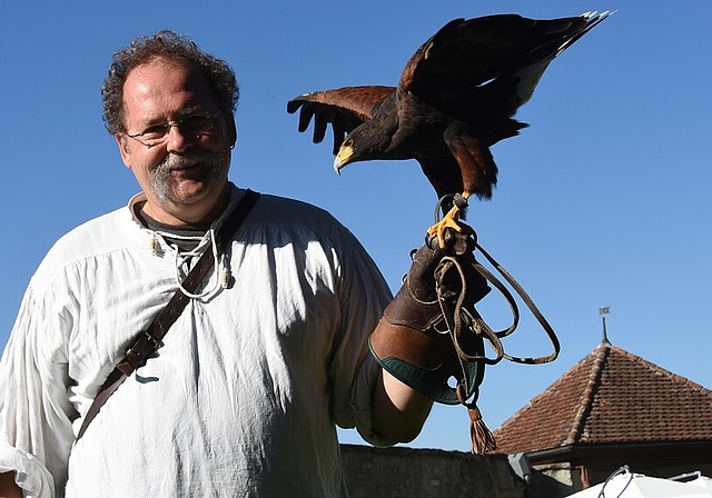 <em>Einblick in die Welt der Greifvögel:</em> Christoph Küpfer mit einem amerikanischen Wüstenbussard auf Schloss Lenzburg. Fotos: Andreas Walker