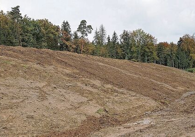 Steht bereit für die Neuaufforstung: Die rekultivierte Fläche der Etappe 1 der Kiesabbaufläche der Lenzburger Ortsbürger. Foto: zvg
