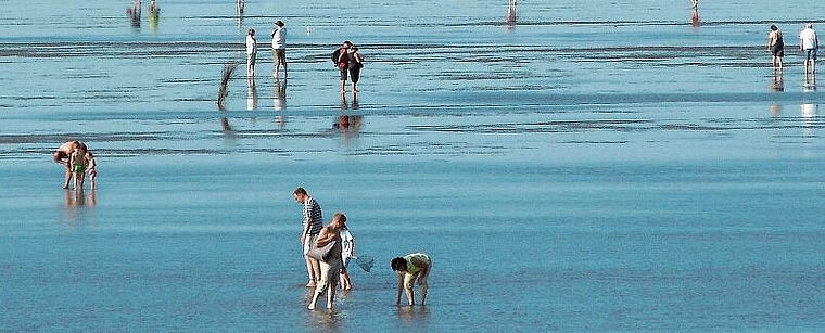 «Nichten und Neffen» wollen Begegnung ermöglichen und fördern – überall: Szene an einem Nordseestrand. Foto: Erich J. Wuwer