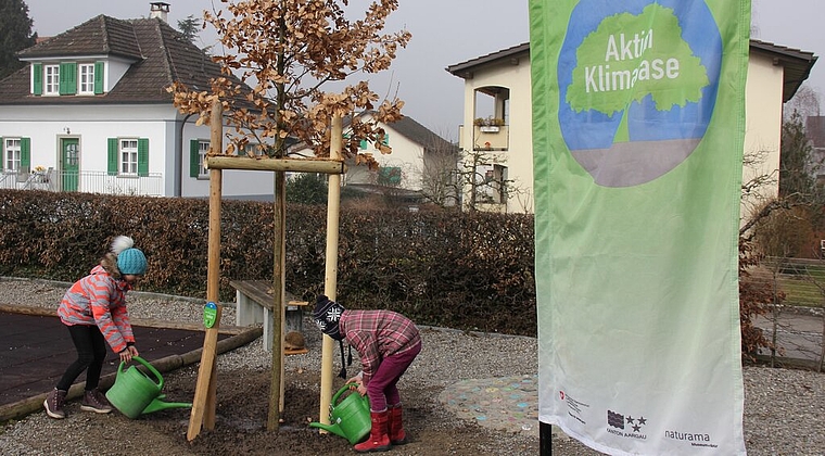 <em>Wollen fürs Klima Gas geben: </em>Zwei Kinder begiessen die frisch eingepflanzte Flaumeiche. Foto: Alfred Gassmann