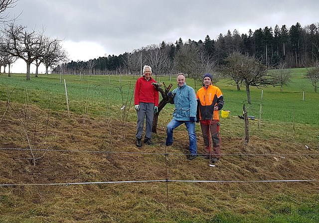 Eine Hecke für den Neuntöter:  Mitglieder des Natur- und Vogelschutzvereins Dürrenäsch nach getaner Arbeit. Foto: Ursi Graser
