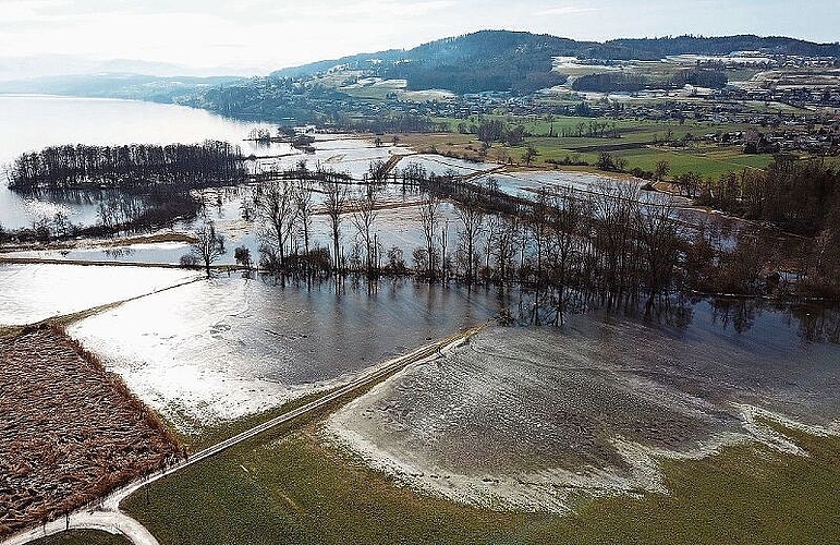 In Eisfelder verwandelt: Überschwemmte Felder am Nordende des Hallwilersees. Foto: Andreas Walker