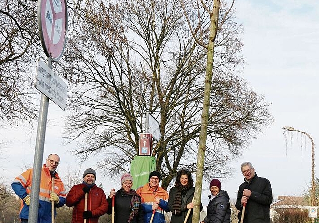 Pflanzen gemeinsam einen Baum: Vertreter der Städte Lenzburg und Zofingen mit einer Delegierten der Aktion «Klimaoase». Foto: Romi Schmid