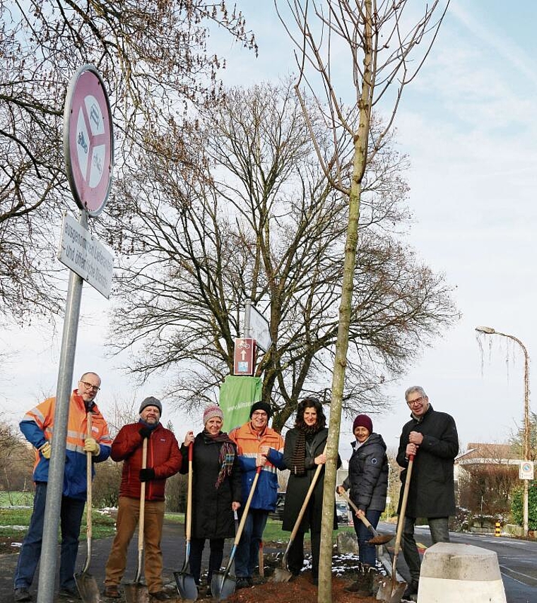 Pflanzen gemeinsam einen Baum: Vertreter der Städte Lenzburg und Zofingen mit einer Delegierten der Aktion «Klimaoase». Foto: Romi Schmid