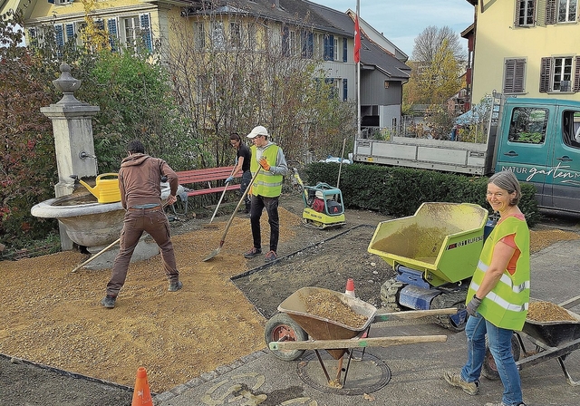 Die IG Klima-Zukunft Lenzburg  mit Freiwilligen im Einsatz.Foto:  zvg
