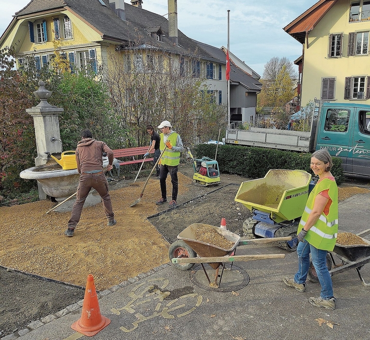 Die IG Klima-Zukunft Lenzburg  mit Freiwilligen im Einsatz.Foto:  zvg