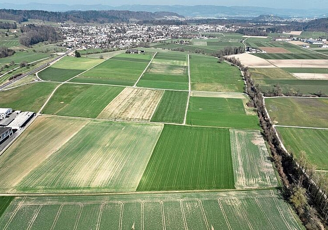 Trocken – Ende März 2022. Die beiden Bilder mit gleichem Ausschnitt zeigen Felder zwischen Hallwil und Seon. Von oben ist die diesjährige Trockenheit im Vergleich gut erkennbar. Das untere Bild wurde Ende März 2020 aufgenommen und zeigt sattgrü