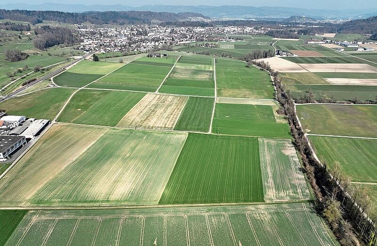 Trocken – Ende März 2022. Die beiden Bilder mit gleichem Ausschnitt zeigen Felder zwischen Hallwil und Seon. Von oben ist die diesjährige Trockenheit im Vergleich gut erkennbar. Das untere Bild wurde Ende März 2020 aufgenommen und zeigt sattgrüne Wiesen. Das obere Bild wurde Ende März 2022 aufgenommen. Die Felder sind nur spärlich grün und überall wird der helle trockene Boden deutlich sichtbar. Foto: Andreas Walker
