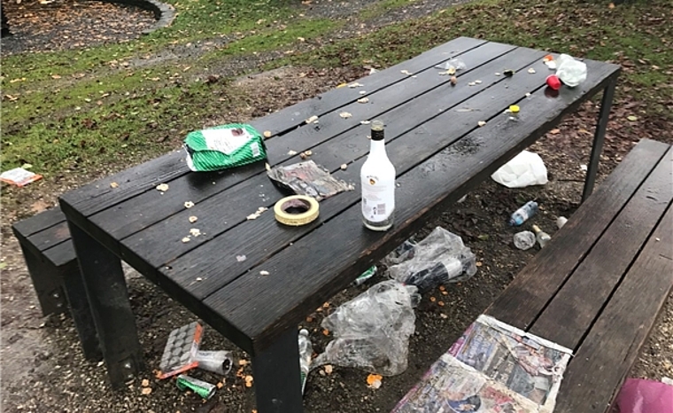 Vor der Putzaktion durch die jugendlichen Partygänger. Foto: zvg