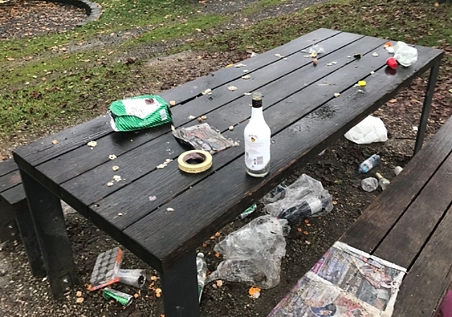 Vor der Putzaktion durch die jugendlichen Partygänger. Foto: zvg