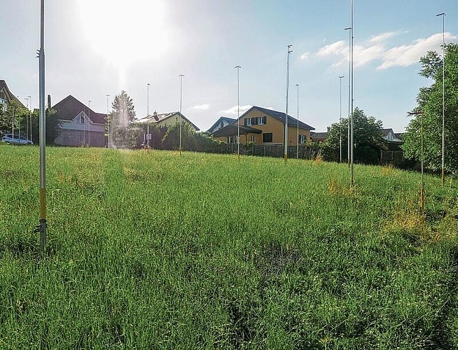 Ruhiger Wohnort mitten im Dorf: Das 2000 Quadratmeter grosse Areal liegt zwischen Stationsweg und Neumattenweg, unweit des Dorfzentrums mit der Bushaltestelle. Foto: Peter Winkelmann
