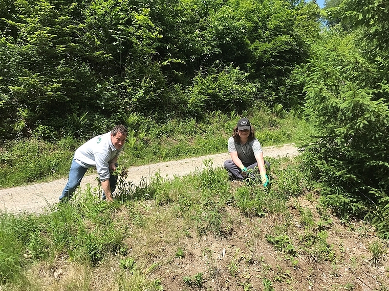 Einsatz am Langweg: Matthias Betsche und Wanja Gucilbek bei ihrer schweisstreibenden Arbeit. Foto: Hanny Dorer