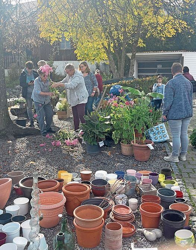 Bringen, sichten, mitnehmen: Seetaler Pflanzentauschbörse in Leutwil. Foto: Andreas Walker