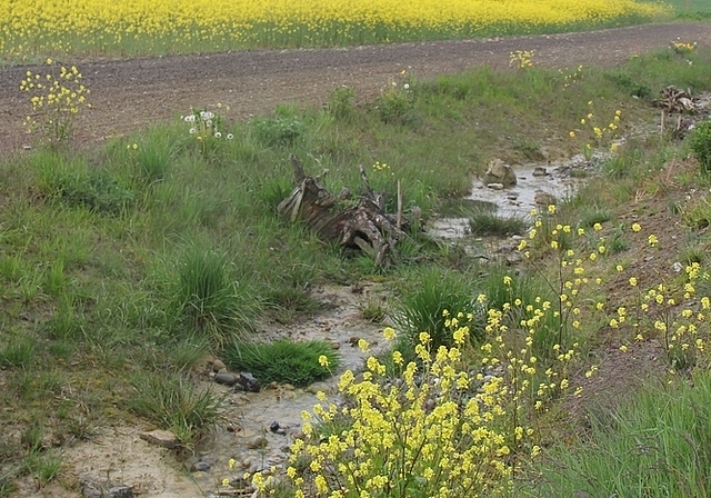 Wannenmoosbach: Auf 400 Metern Länge aus der Röhre herausgeholt. Foto: AG