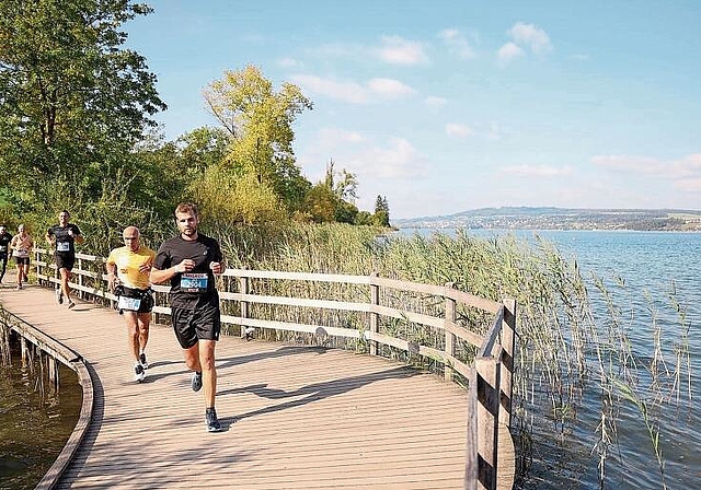 «Der Hallwilerseelauf ist eine Erfolgsgeschichte»: Passage entlang dem Seeufer kurz vor dem Ziel in Beinwil am See. Foto: Philipp Schmidli
