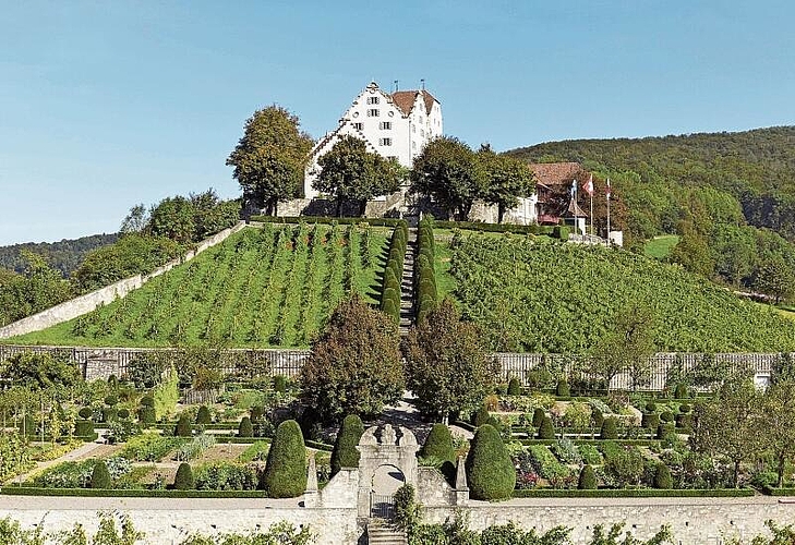 Schlossdomäne Wildegg: In einer interaktiven Ausstellung wird die Geschichte des Weinbaus aufgerollt.Foto: zvg