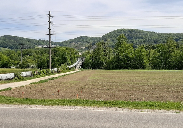 Neue Linienführung für den Wildensteinerbach: Geplant im Acker neben dem Flurweg. Foto: Fabian Rickenbacher