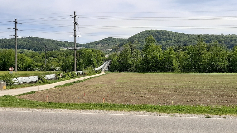 Neue Linienführung für den Wildensteinerbach: Geplant im Acker neben dem Flurweg. Foto: Fabian Rickenbacher