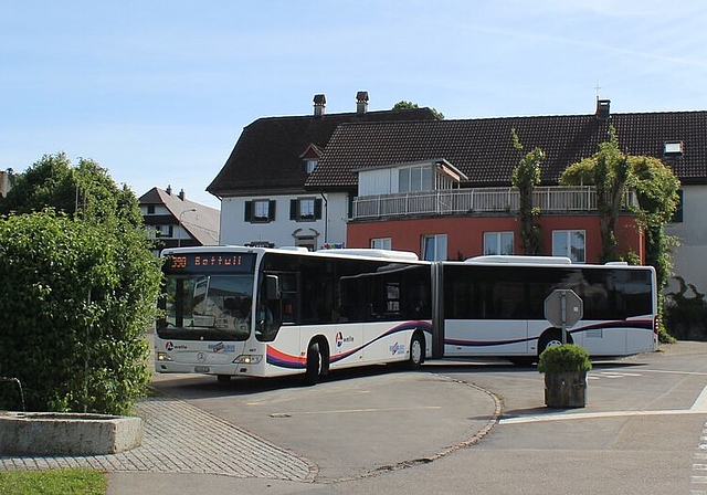 Ein tägliches Bild: Gefährliches Wenden der Gelenkbusse auf dem Chäsiplatz in Bettwil. Foto: Alexander Studer