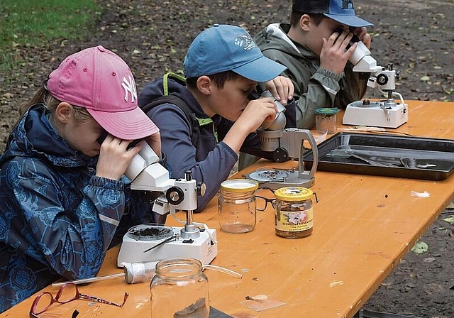 Junge Forscher: Mit einem Binokular konnten kleine Lebewesen und andere Dinge der Natur vergrössert und gut beobachtet werden.Foto: Andreas Walker