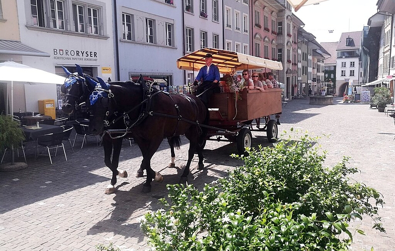 Mit Ross und Wagen durch die Rathausgasse: Kutschenfahrer Ruedi Briner in der Lenzburger Altstadt. Mit Ross und Wagen durch die Rathausgasse: Kutschenfahrer Ruedi Briner in der Lenzburger Altstadt.