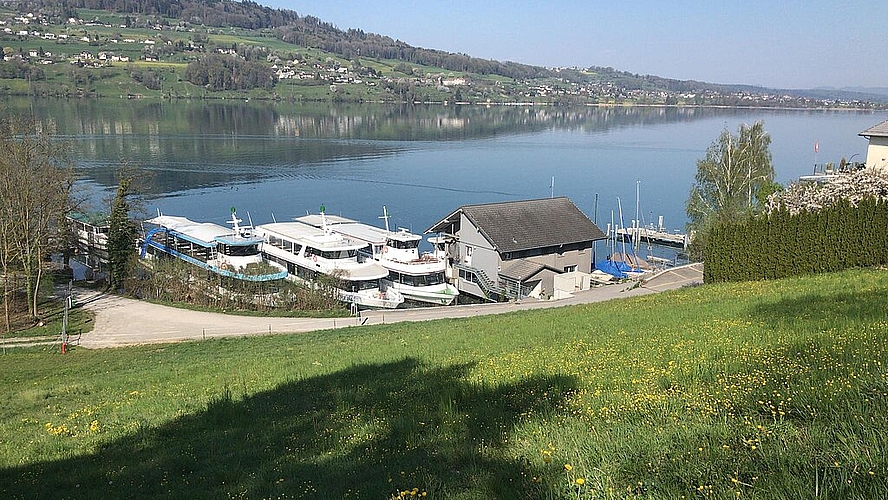 Zum Nichtstun verdammt: Die fünf Schiffe der Hallwilersee-Flotte bei der Werft. Foto: zvg/uha Zum Nichtstun verdammt: Die fünf Schiffe der Hallwilersee-Flotte bei der Werft. Foto: zvg/uha