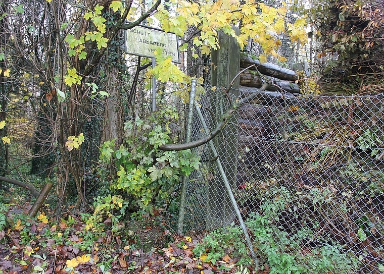 Schutt ablagern seit langem verboten: Die ehemalige Kehrichtdeponie Wangenhölzli in Fahrwangen. Foto: Alfred Gassmann
