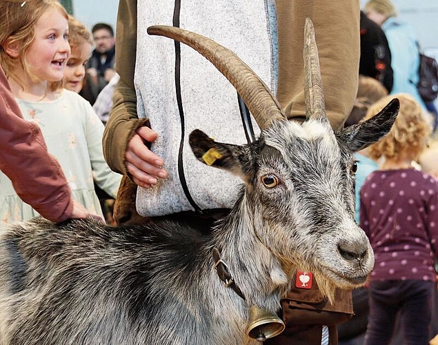 Strahlende Kinderaugen: Die jungen Gäste kamen beim Tierstreicheln voll auf ihre Kosten. Foto: Romi Schmid
